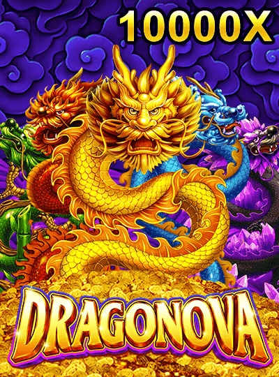 Cricket betting game cover